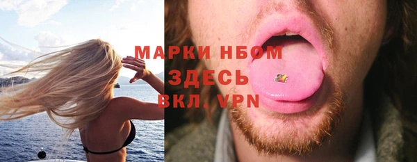 хмурый Алексин