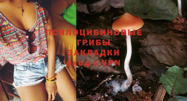 хмурый Алексин