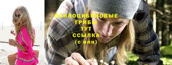 хмурый Алексин