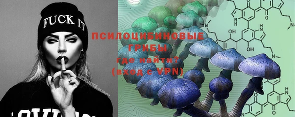 круглые Алексеевка