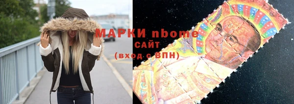 хмурый Алексин